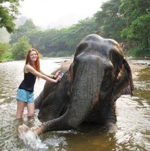 Elephant Bathing, Chiang Mai - Thailand