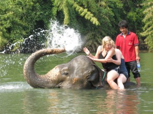 Tourist Girls Bathing on Elephant, Chiang Mai - Thailand